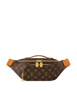 LOUIS VUITTON Поясная сумка