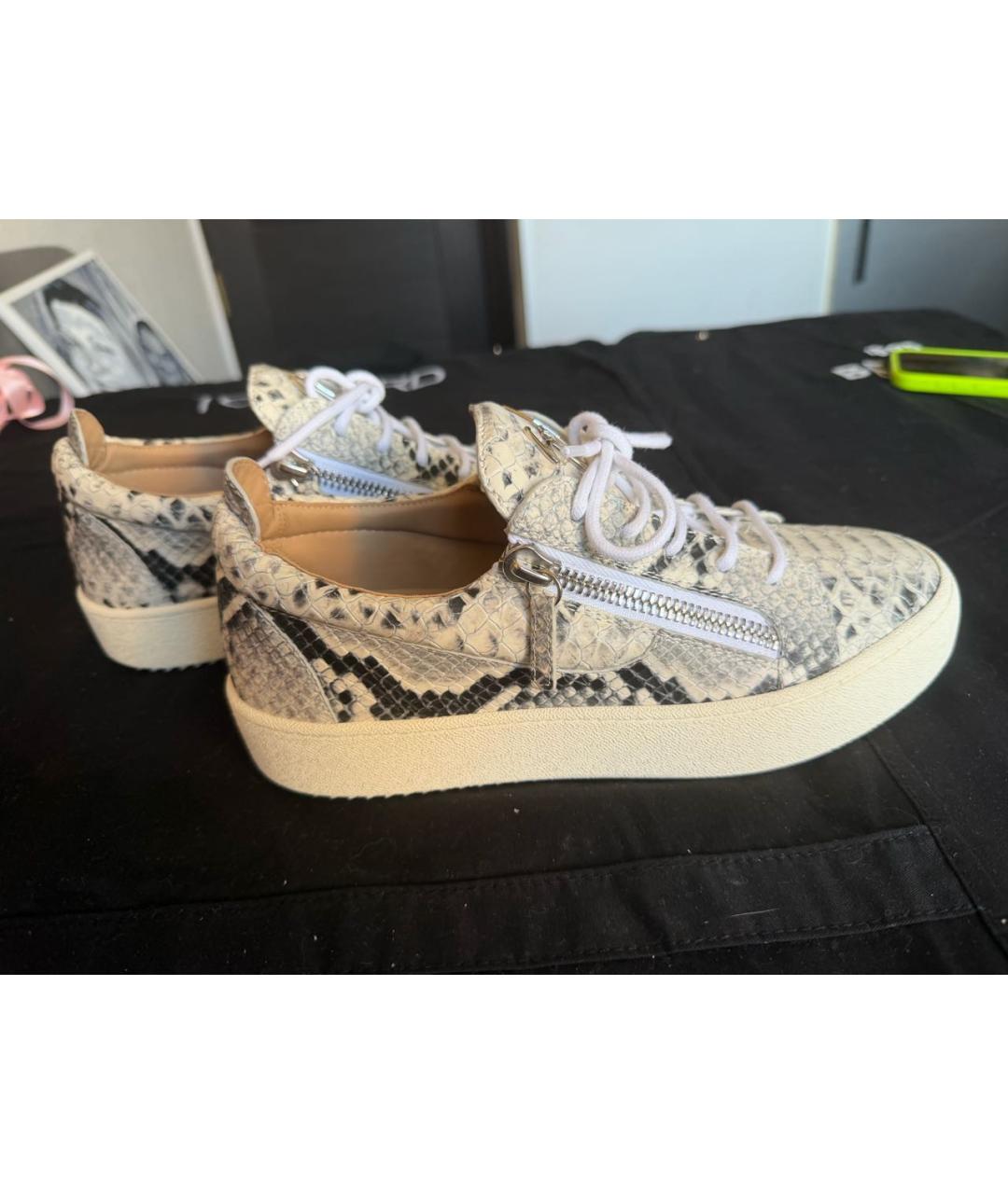 GIUSEPPE ZANOTTI DESIGN Мульти кожаные кеды, фото 8