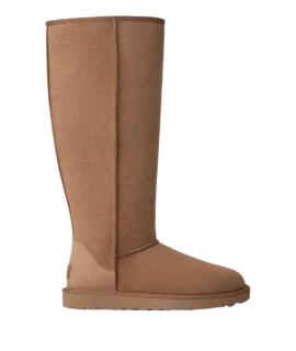 UGG Сапоги