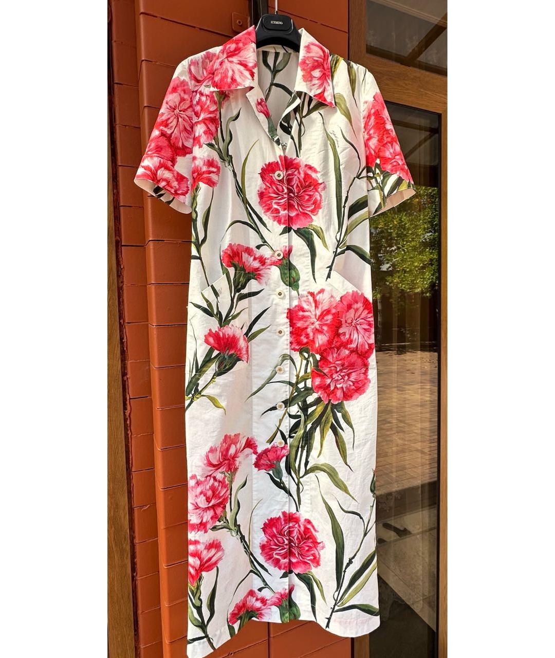 DOLCE&GABBANA Мульти хлопковое платье, фото 5