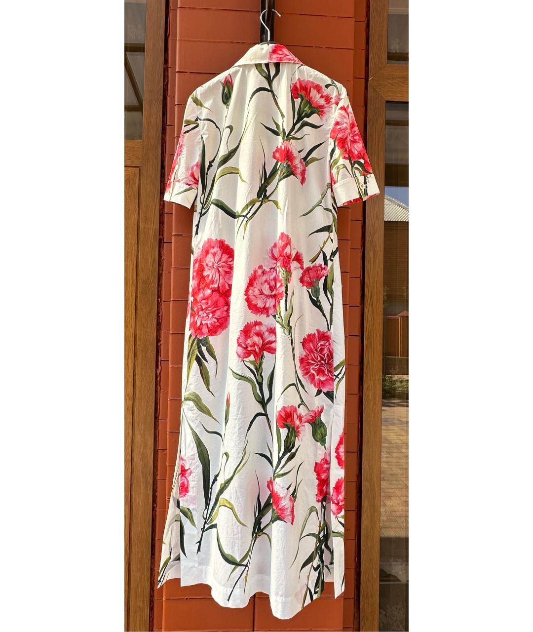 DOLCE&GABBANA Мульти хлопковое платье, фото 2