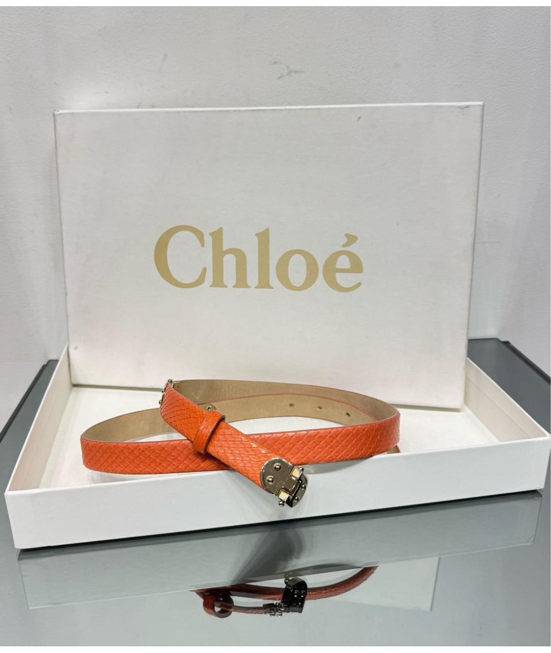 CHLOE Оранжевый ремень из кожи питона, фото 7