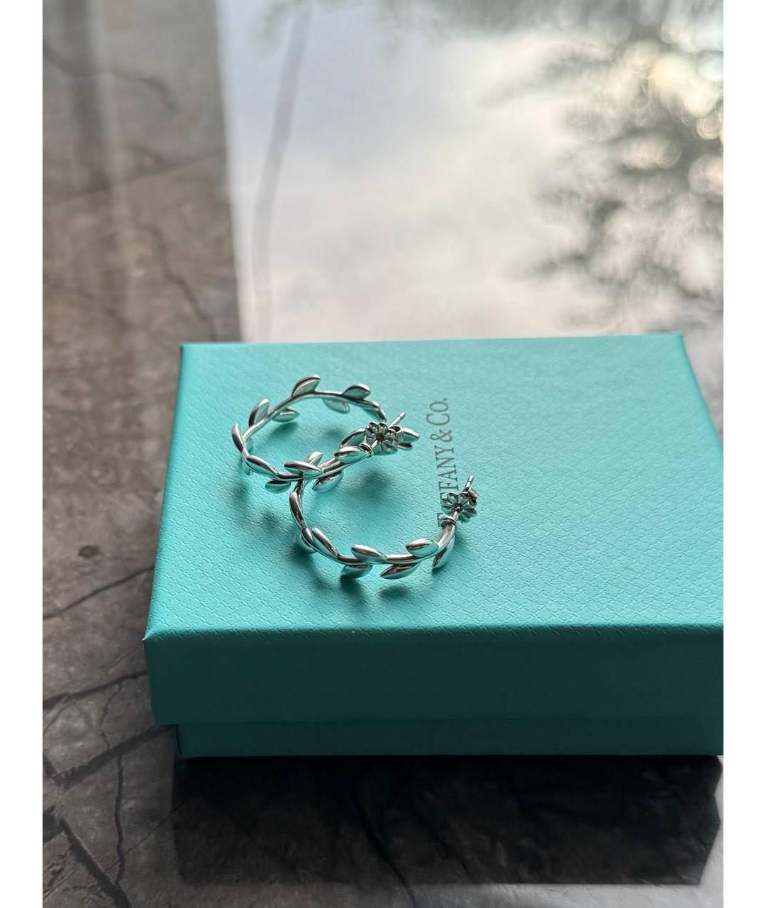 TIFFANY&CO Серебряные серебряные серьги, фото 8