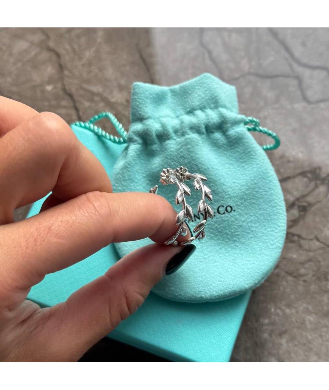TIFFANY&CO Серебряные серебряные серьги, фото 4