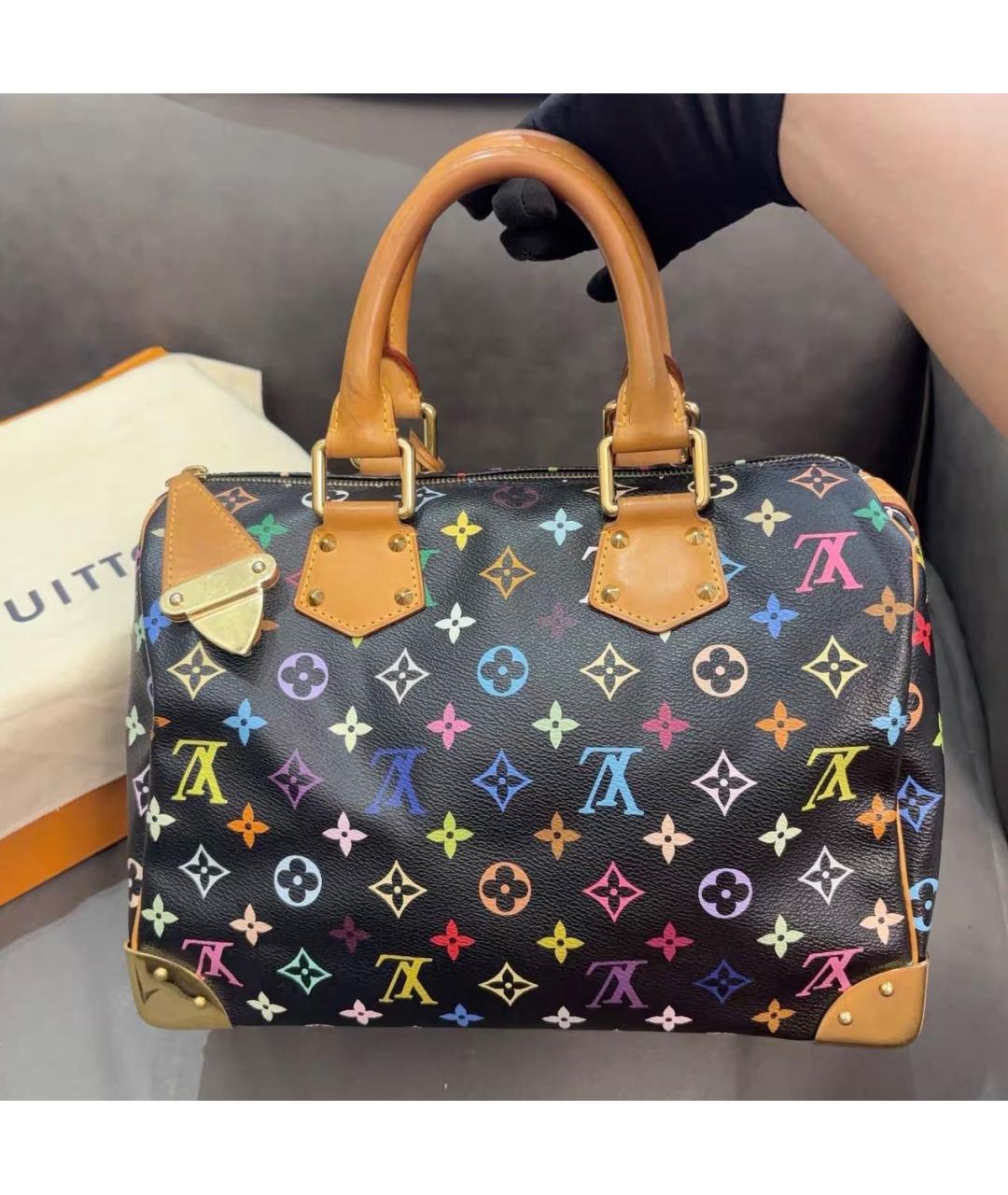 LOUIS VUITTON Мульти кожаная сумка с короткими ручками, фото 2