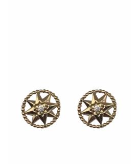 CHRISTIAN DIOR Серьги