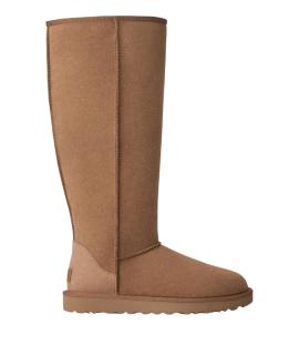 UGG Сапоги