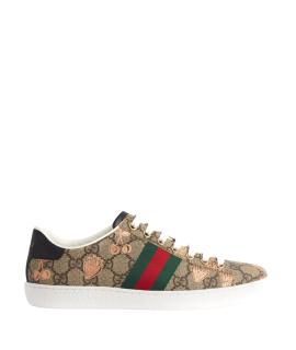GUCCI Кроссовки