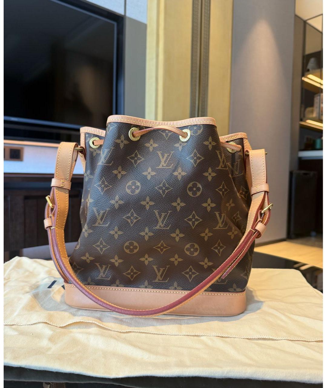 LOUIS VUITTON Коричневая кожаная сумка тоут, фото 2