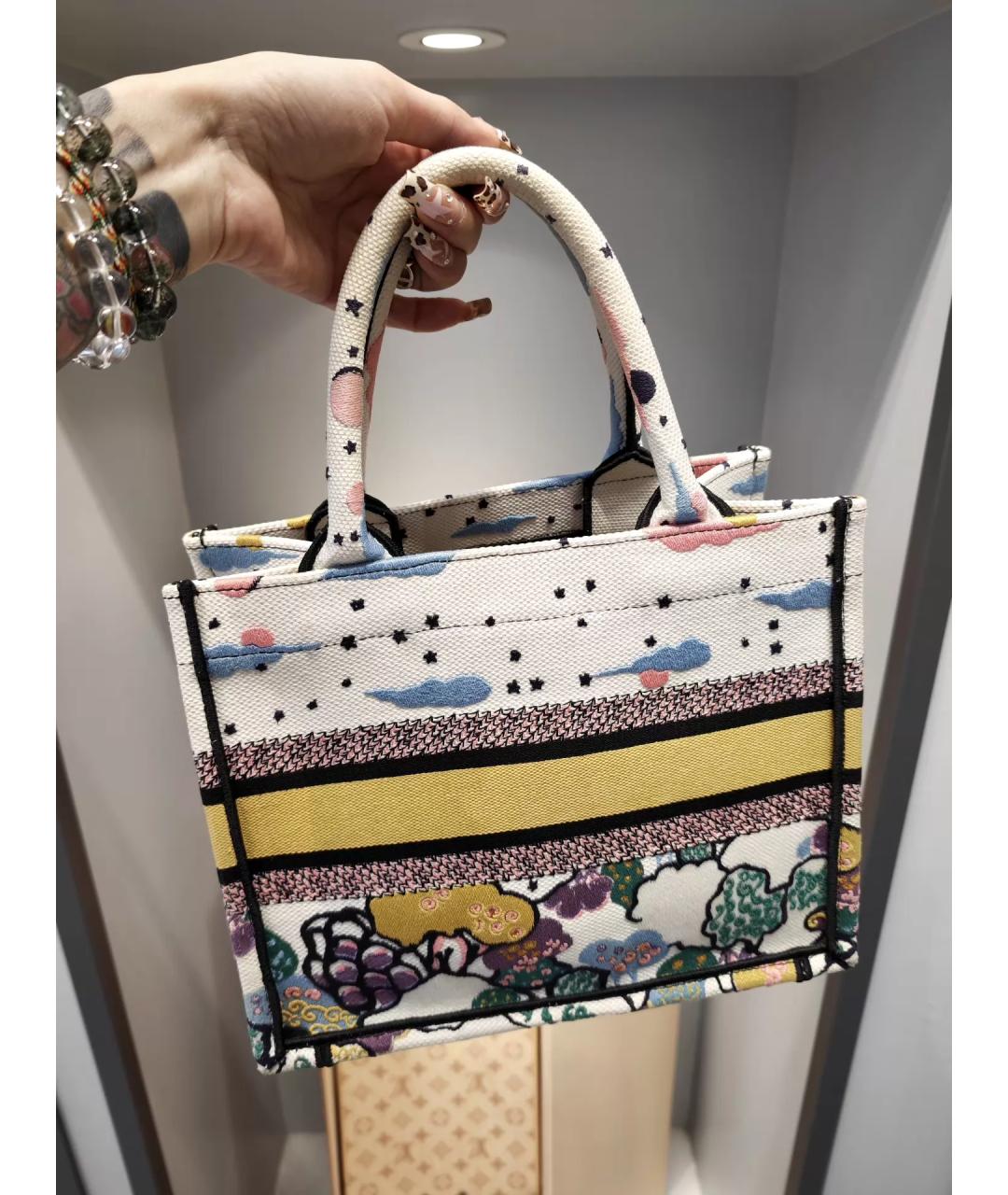 CHRISTIAN DIOR Мульти тканевая сумка тоут, фото 3