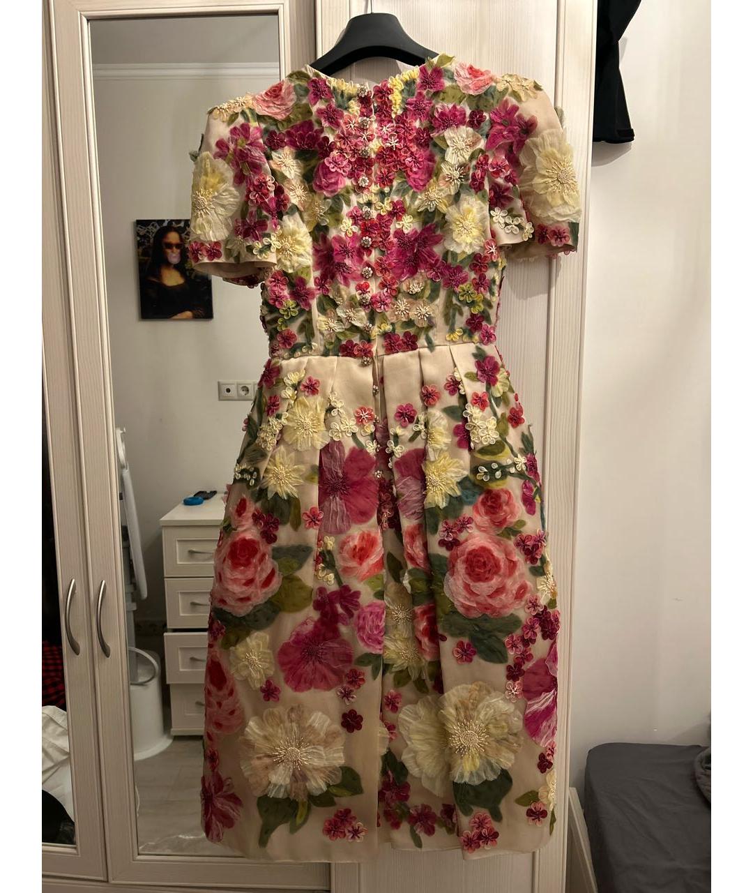 DOLCE&GABBANA Мульти вечернее платье, фото 2