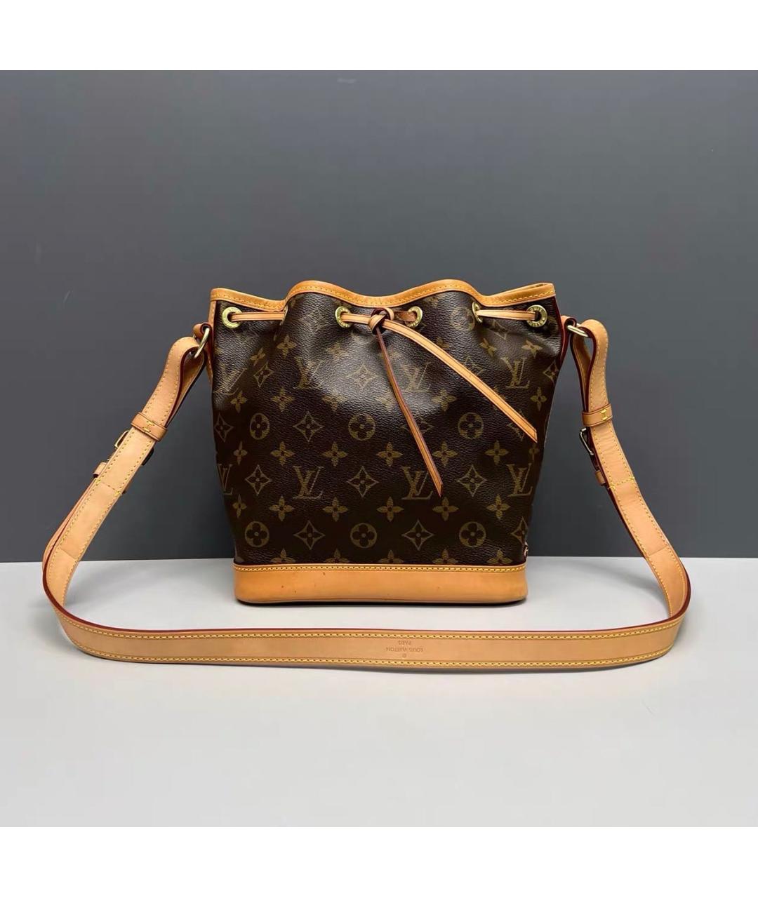 LOUIS VUITTON Коричневая кожаная сумка тоут, фото 9