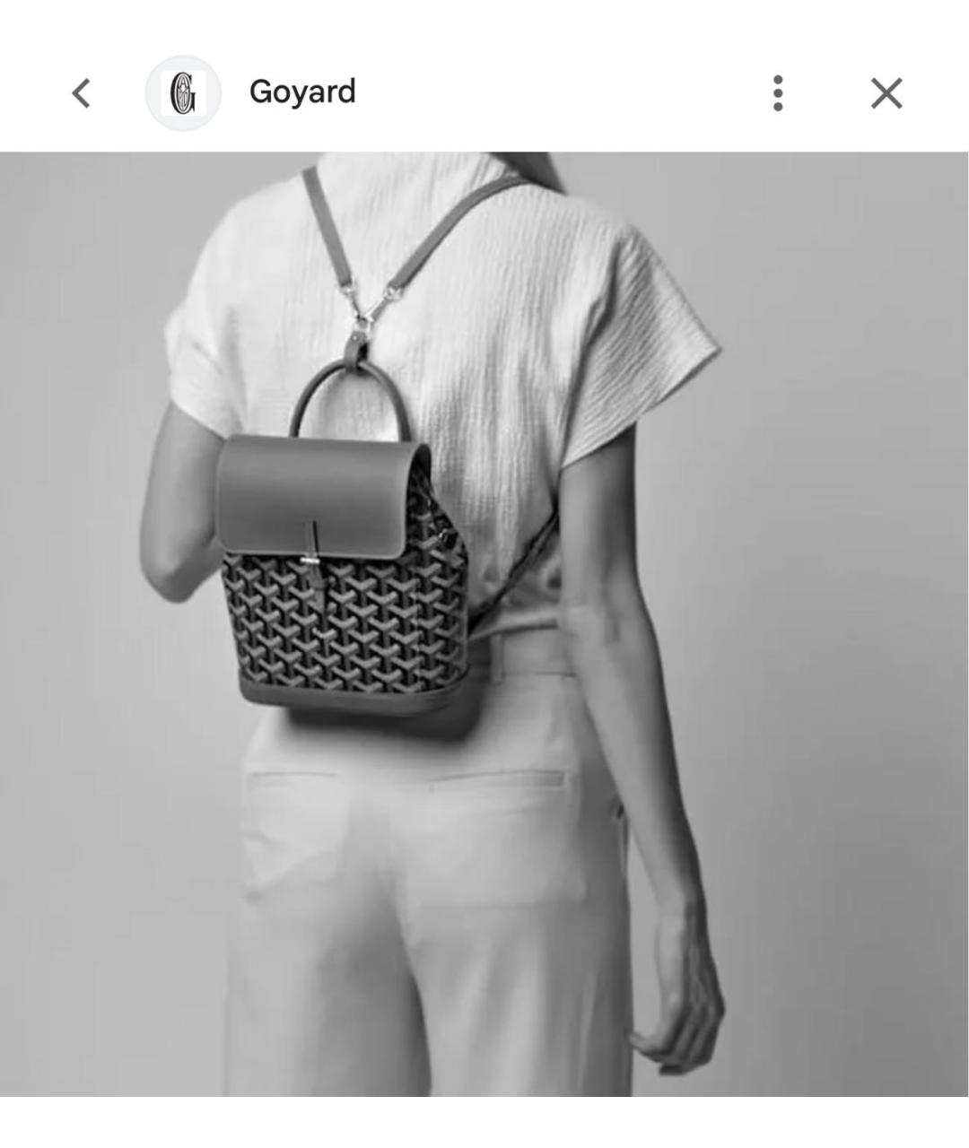 GOYARD Бордовый рюкзак из канвы, фото 2