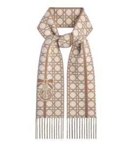 CHRISTIAN DIOR Шарф
