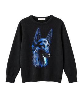 BALENCIAGA Джемпер / свитер
