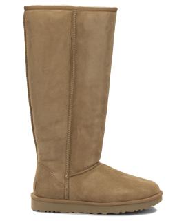 UGG Сапоги