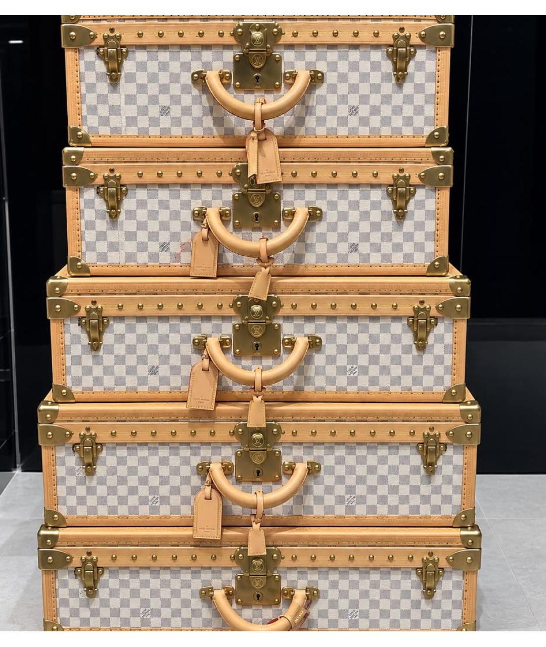 LOUIS VUITTON Прозрачный чемодан, фото 5