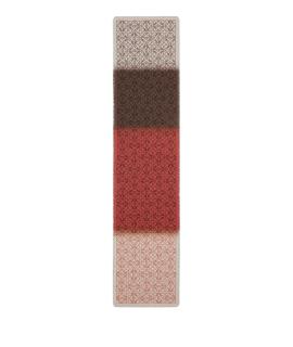 LOEWE Шарф