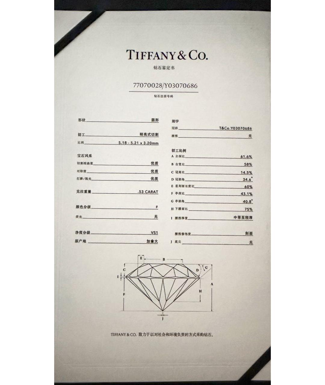 TIFFANY&CO Серебряное кольцо из белого золота, фото 4