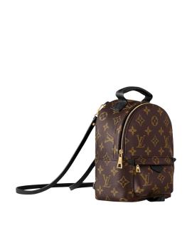 LOUIS VUITTON Рюкзак