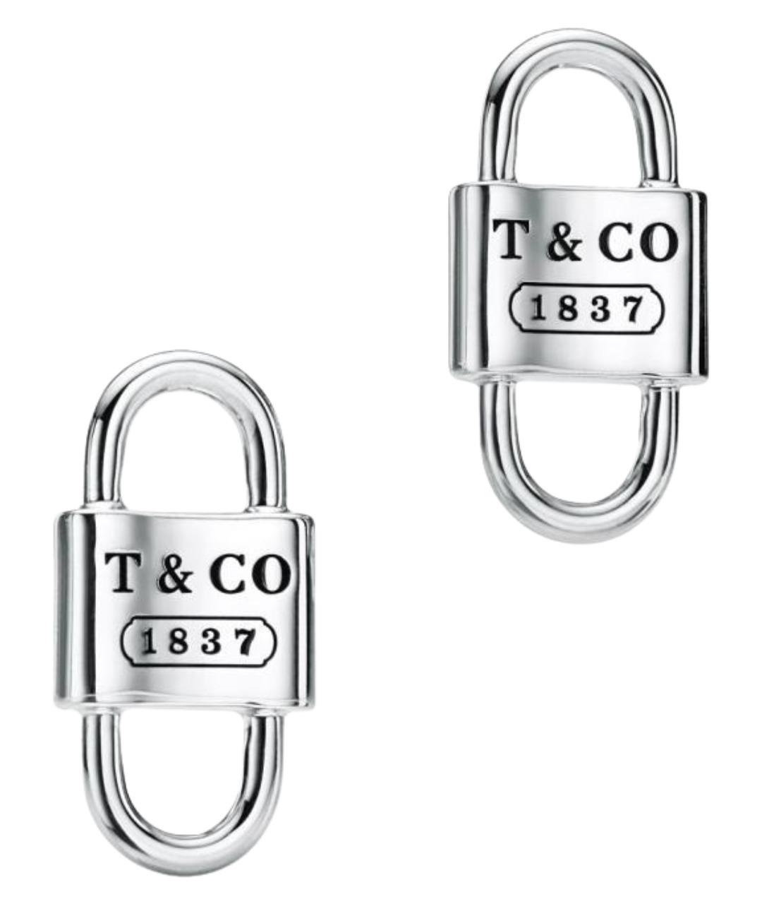 TIFFANY&CO Серебряные серебряные серьги, фото 1