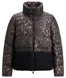 MONCLER Куртка