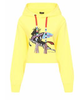 

Худи/толстовка ETRO