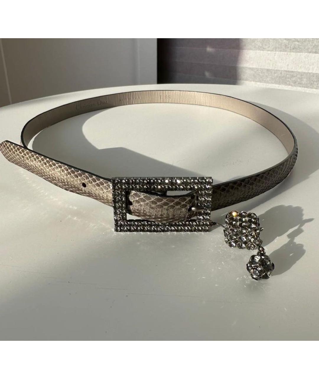 CHRISTIAN DIOR Серый ремень из экзотической кожи, фото 2