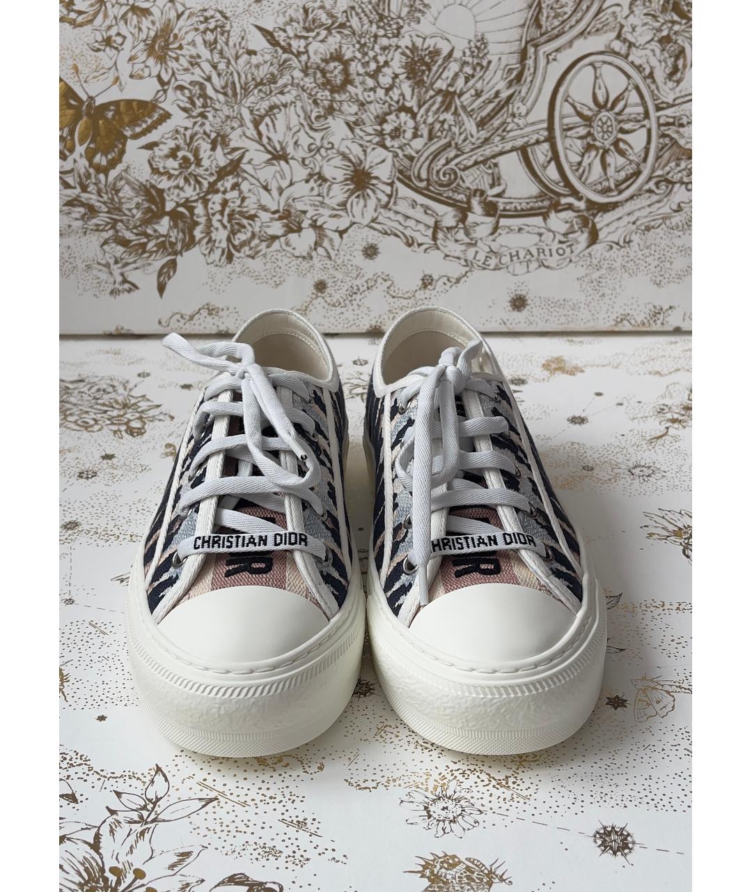 CHRISTIAN DIOR Мульти кеды, фото 2